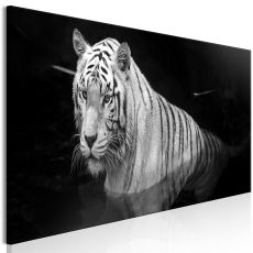 Tavla - Shining Tiger Black and White Narrow