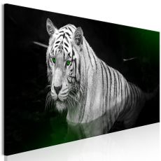 Tavla - Shining Tiger Green Narrow