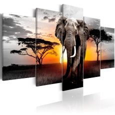 Tavla - Elephant at Sunset