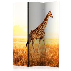 Rumsavdelare - giraffe - walk