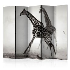 Rumsavdelare - Giraffes II