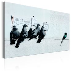 Tavla - Protesting Birds by Banksy