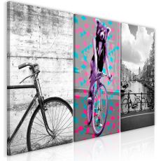 Tavla - Bikes (Collection)