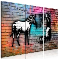 Tavla - Washing Zebra - Colourful Brick (3 delar)