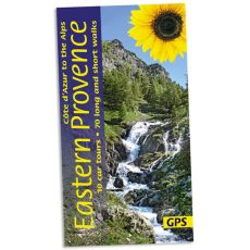 Eastern Provence Sunflower