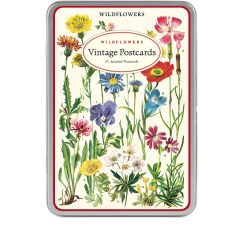 Wildflowers Vintage Postcards set med 18 + kuvert