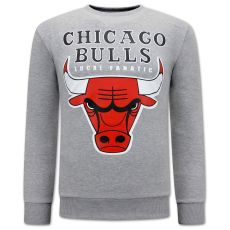 Chicago Bulls Herrtröja - Grå