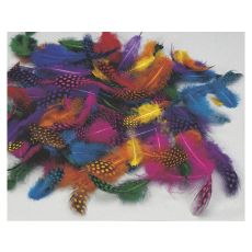 Pärlhönsfjädrar, blandade färger, 100/fp (för påskpynt mm)