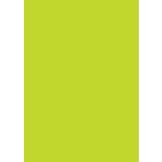 Kopieringspapper A4 Gräsgrön 170g, syrafritt, 10 ark/fp