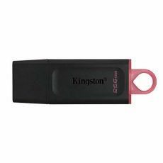 USB-minne Kingston Exodia Svart 256 GB (1 antal)