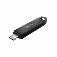 USB-minne SanDisk SDCZ460-256G-G46