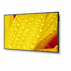 Monitor Videowall NEC ME651 65" IPS D-LED 60 Hz