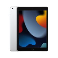 Läsplatta Apple iPad 10,2" A13 3 GB RAM 64 GB Silvrig