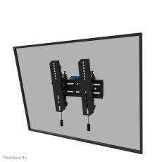 TV-fäste Neomounts WL35S-850BL12 24-55" 50 kg