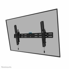 TV-fäste Neomounts 12597273000 43-98" 43" 86" 100 kg