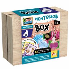 Utbildningsspel Lisciani Giochi Montessori