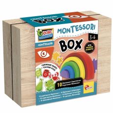 Utbildningsspel Lisciani Giochi Montessori