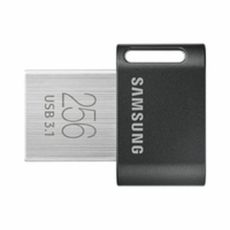 USB-minne Samsung MUF-256AB/APC 256 GB