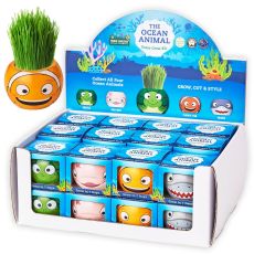 Growing grass kit ocean animals