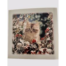 Julkort med söt katt - 15st