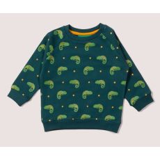 Sweatshirt för Barn i Raglanmodell ? Ödla 9mån-8år