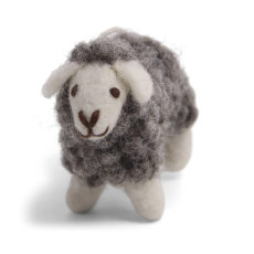 Mini Sheep  tuvad lamm