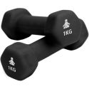 Premium Dumbbells 2 x 1 kg